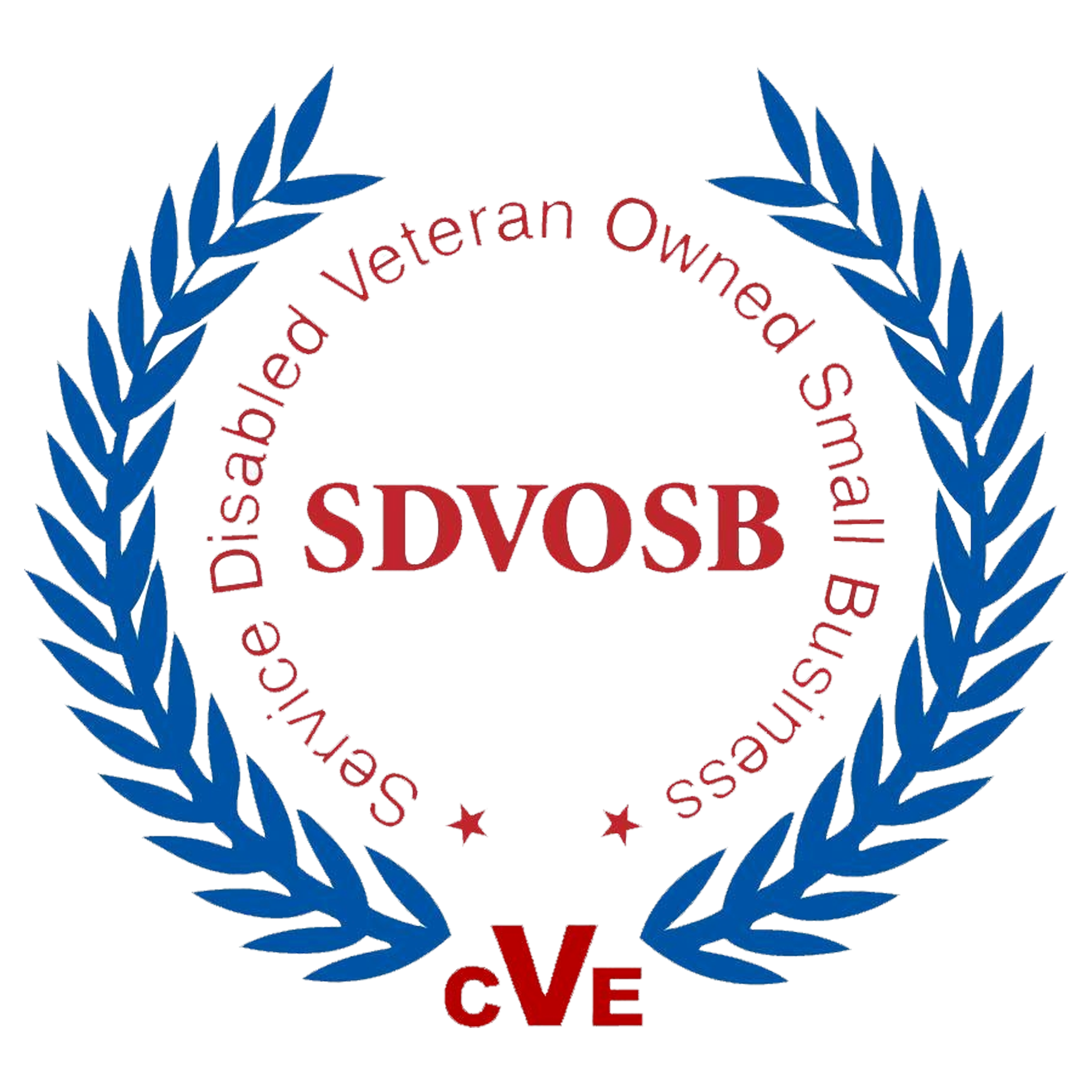 SDVOSB stalwart COM LLCservice disabled veteran owned small business