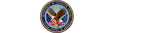 Department of veteran affairs contractor SDVOSB stalwart com LLC service disabled veteran owned small business